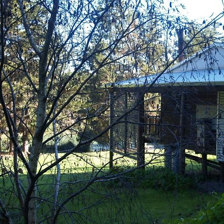 Hawke Brook Chalets Pemberton Exterior foto