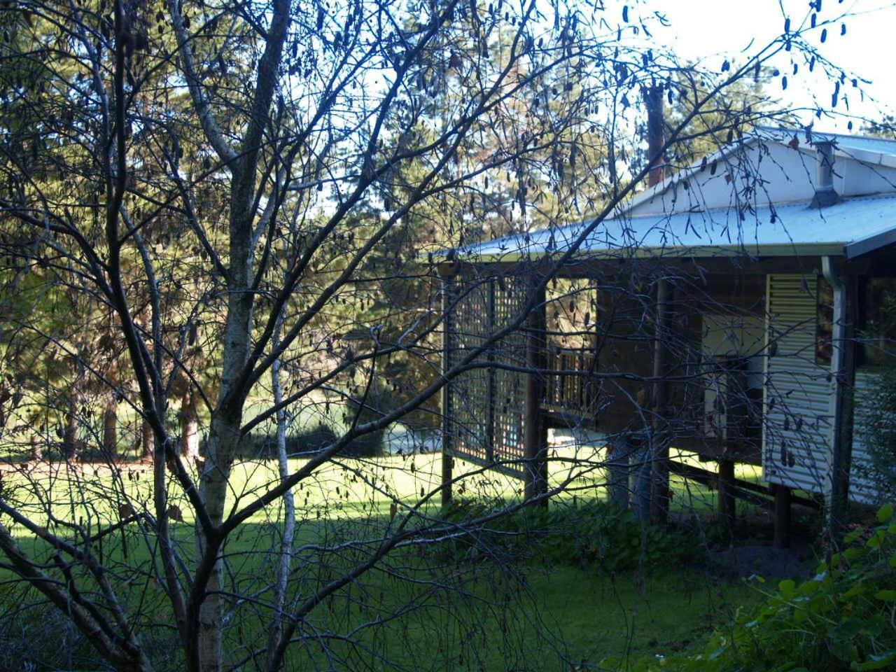 Hawke Brook Chalets Pemberton Exterior foto